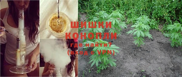 мдпв Вязьма