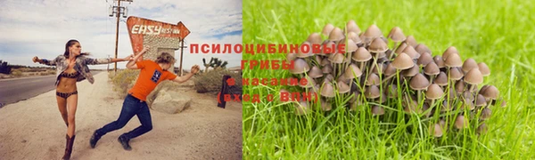 мескалин Вяземский